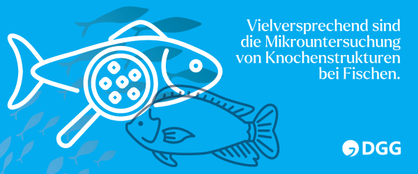 Vielversprechend sind die Mikrountersuchung von Knochenstrukturen bei Fischen.