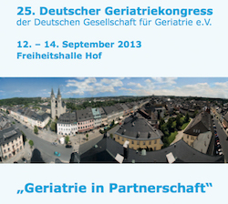 Titelbild Hof 2013, Stadtansicht