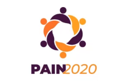 Logo von Pain2020