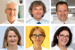 Der neu gewählte Vorstand der DGG, September 2021