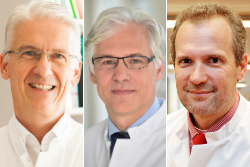 Prof. Wirth, Bauer und Heppner